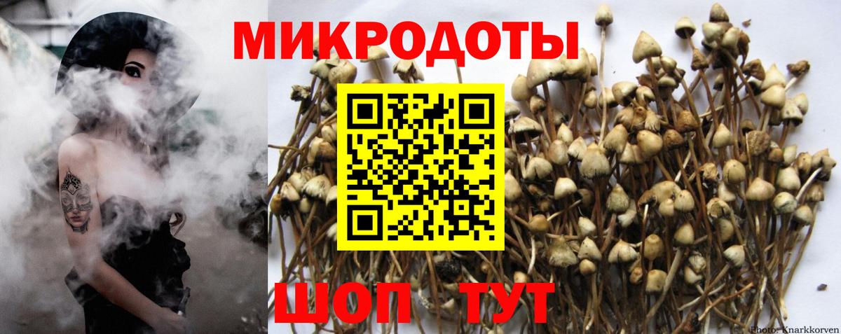 Нововоронеж  Псилоцибиновые грибы Magic Shrooms  Вход с VPN  Псилоцибиновые грибы GOLDEN TEACHER 